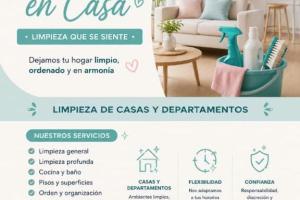 Profesionales  BRILLO EN CASA